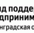 Цифровой дизайн: пройдите обучение сейчас - Сланцевский район