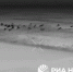 Минобороны показало военных с российским флагом в освобожденном Толстом в ДНР - Газета Знамя труда