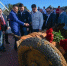 Жители Ленинградской области хранят память о блокаде - Газета Знамя труда