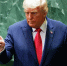 Трамп сообщил, что впредь не намерен использовать выражение "бумажный тигр" - Газета Знамя труда