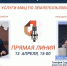 Ленинградская область: горячая линия МФЦ и Роскадастра – о новых услугах - Газета Знамя труда